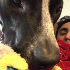 Meet your Posher, Jordan